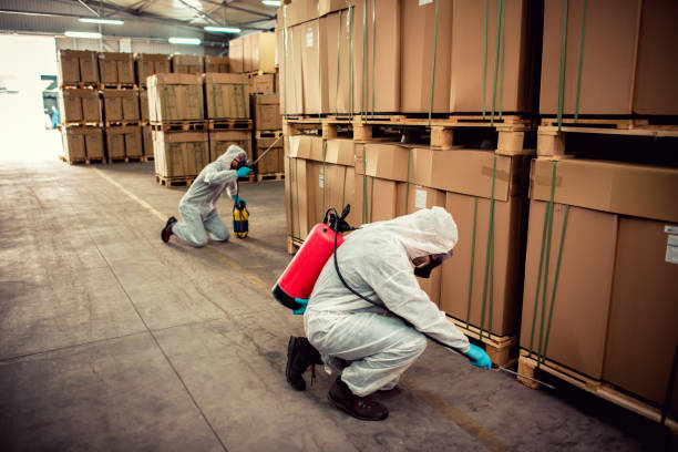Best Pest Prevention Services  in Killen, AL