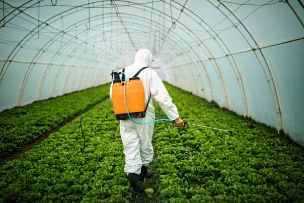 Reliable Killen, AL Pest Control Solutions
