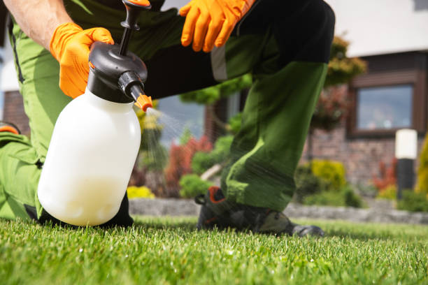 Best Wildlife Control Services  in Killen, AL