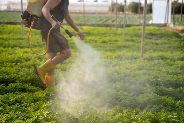 Best Pest Removal Services  in Killen, AL
