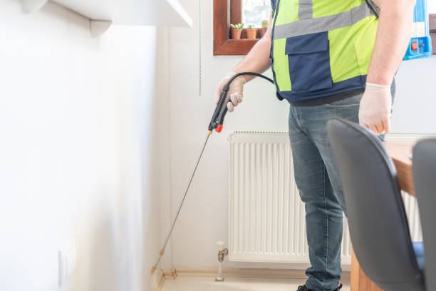 Best Termite Control Services  in Killen, AL