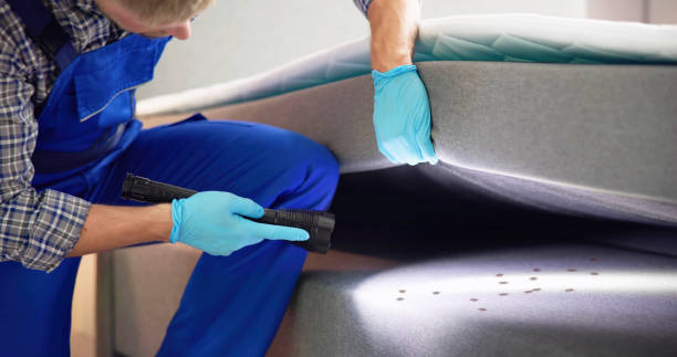 Best Best Pest Control Companies  in Killen, AL