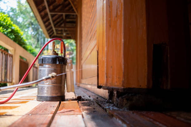Best Exterminator Services  in Killen, AL