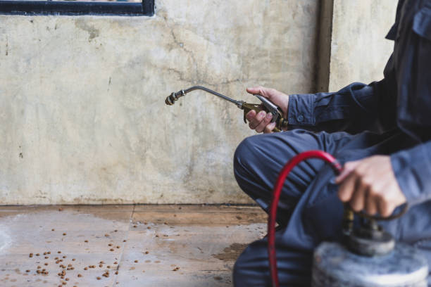 Best Residential Pest Control  in Killen, AL